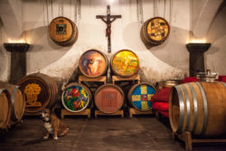 Wine cellar © Matthias Stelzig