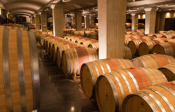 Wine Cellar, Ixsir; Source: Matthias Stelzig