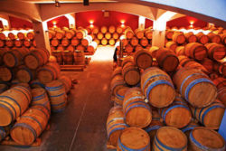 Photo: Edoardo Miroglio - cellar with barrels 