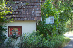 Old border near Eisenberg © Matthias Stelzig