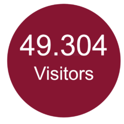 49.304 Visitors