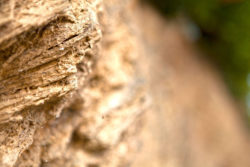 Rock formation in Eisenberg © Matthias Stelzig