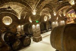 Wine cellar Szeksard © Matthias Stelzig