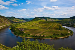 Moselle near Calmond © Matthias Stelzig