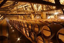 Photo: Wine-Cellar Neipperg 