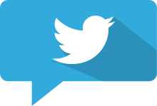 Icon Twitter