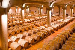 Photo: Tancredi wine cellar